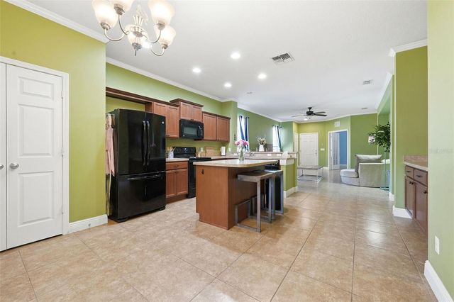 30235 CHEVAL STREET, Mount Dora, FL 32757