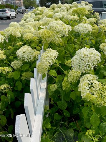 344 Main Avenue, Bay Head, NJ 08742