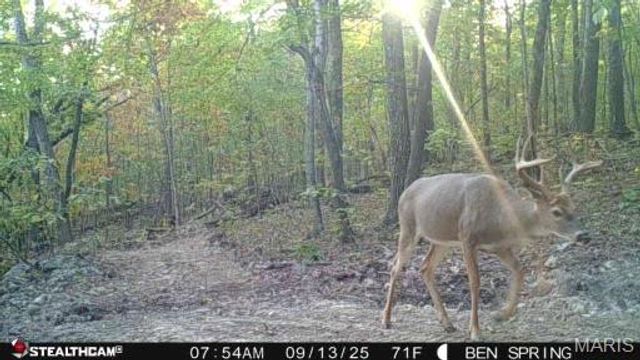 0 Highway O, Fredericktown, MO 63645