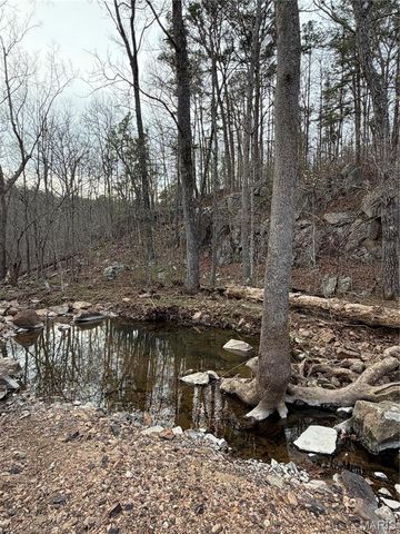 0 Highway O, Fredericktown, MO 63645