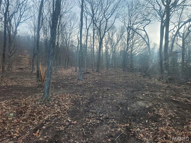 0 Highway O, Fredericktown, MO 63645