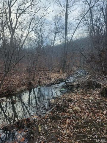 0 Highway O, Fredericktown, MO 63645