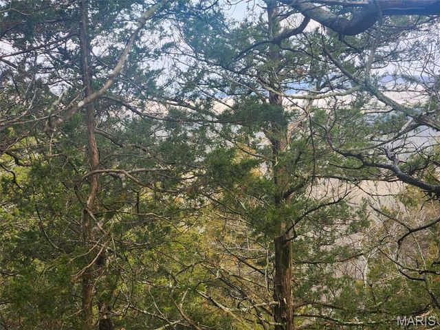 0 Highway O, Fredericktown, MO 63645