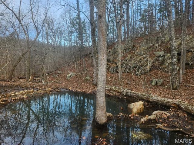 0 Highway O, Fredericktown, MO 63645