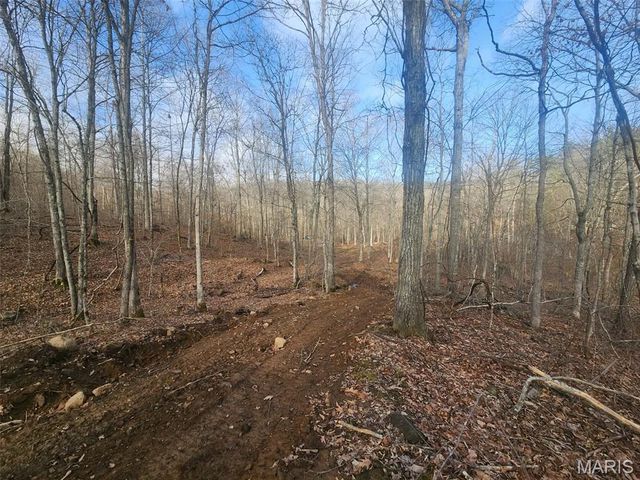 0 Highway O, Fredericktown, MO 63645