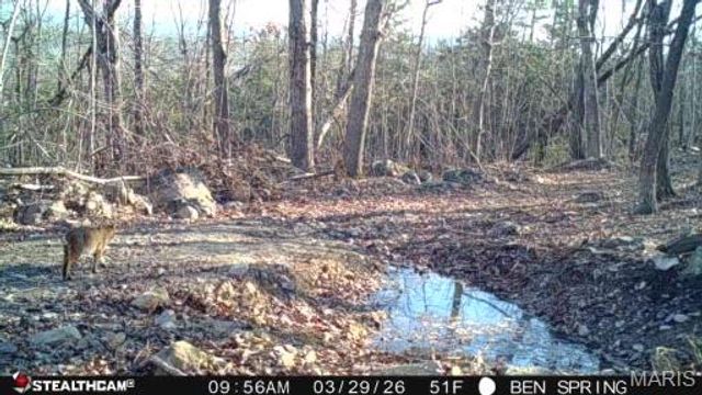 0 Highway O, Fredericktown, MO 63645