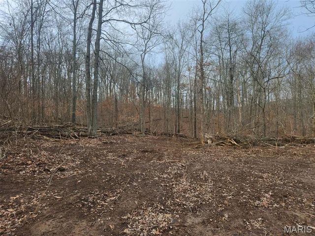 0 Highway O, Fredericktown, MO 63645