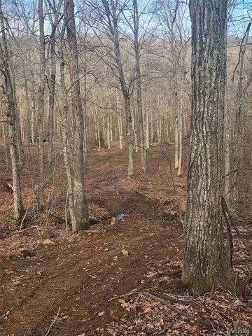 0 Highway O, Fredericktown, MO 63645