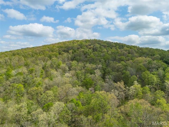 0 Highway O, Fredericktown, MO 63645