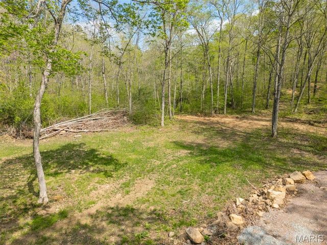 0 Highway O, Fredericktown, MO 63645