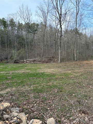 0 Highway O, Fredericktown, MO 63645