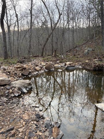 0 Highway O, Fredericktown, MO 63645