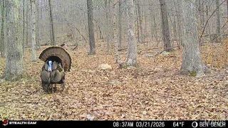 0 Highway O, Fredericktown, MO 63645