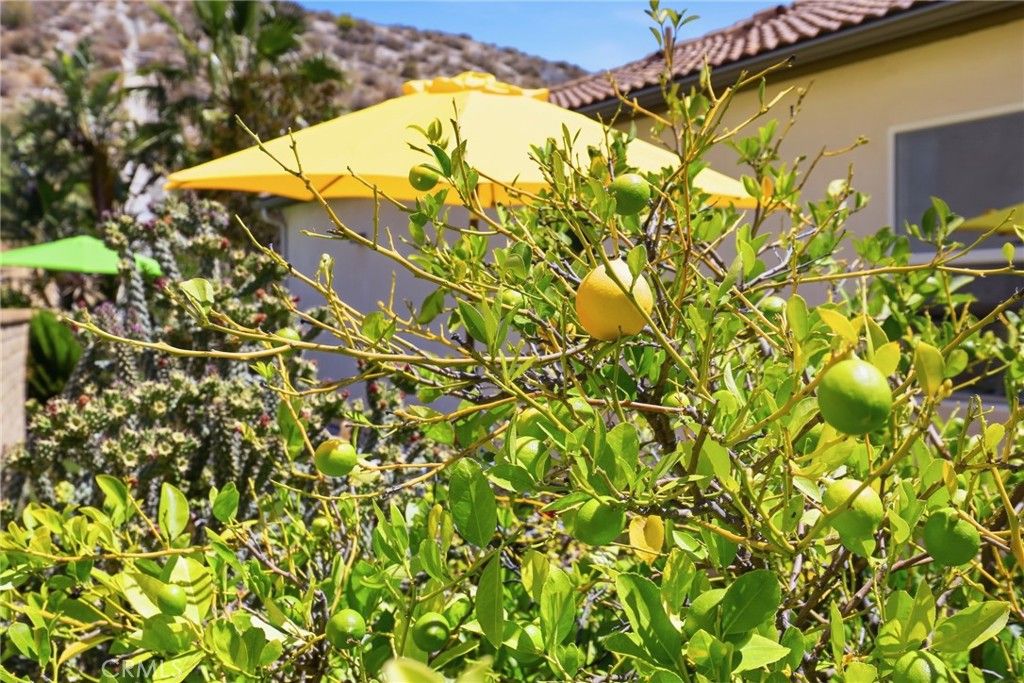 Image 30 of property listing at 20317 Julia Lane, Saugus, CA 91350