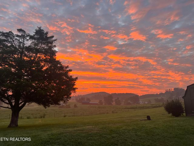 1623 Straight Branch Rd, Speedwell, TN 37870