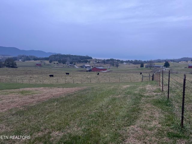 1623 Straight Branch Rd, Speedwell, TN 37870