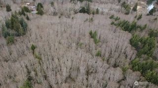 733 State Route 107 Highway, Montesano, WA 98563