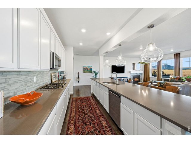 19133 W 95th Ln, Arvada, CO 80007