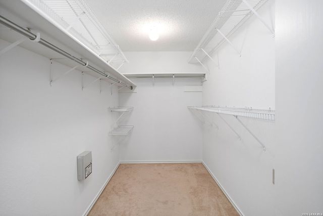 8090 Chestnut Ash, Converse, TX 78109