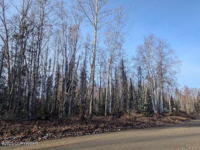 51030 S Caswell Creek Drive, Willow, AK 99688