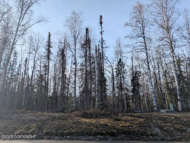 51030 S Caswell Creek Drive, Willow, AK 99688