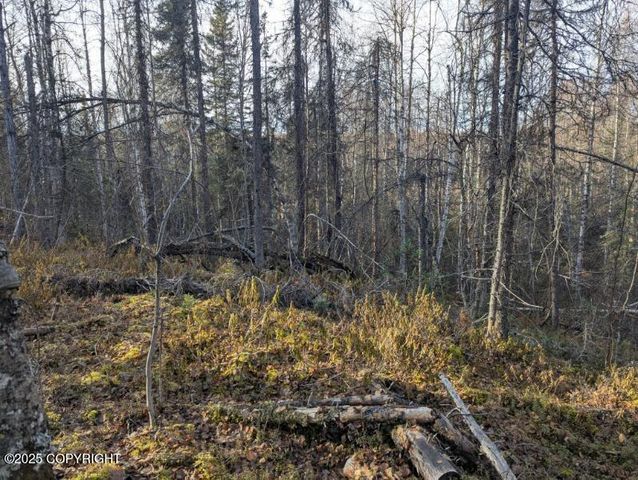 51030 S Caswell Creek Drive, Willow, AK 99688