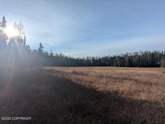 51030 S Caswell Creek Drive, Willow, AK 99688