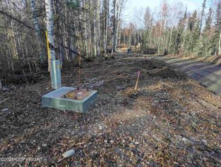 51030 S Caswell Creek Drive, Willow, AK 99688