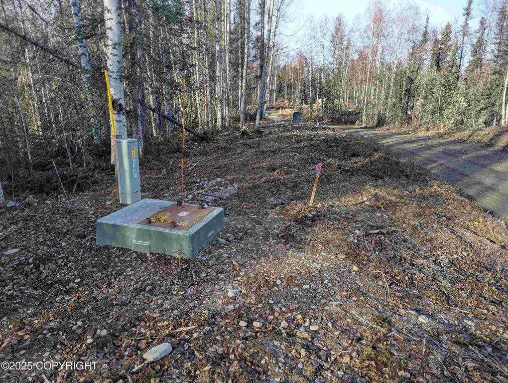 51030 S Caswell Creek Drive, Willow, AK 99688