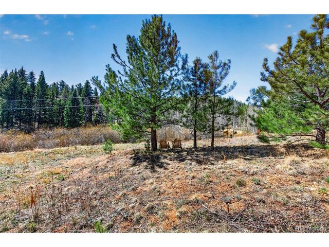 1328 Clark Rd, Bailey, CO 80421