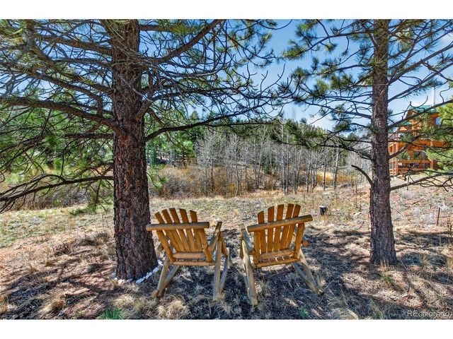 1328 Clark Rd, Bailey, CO 80421