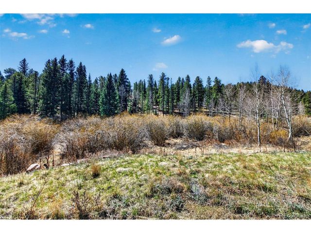 1328 Clark Rd, Bailey, CO 80421