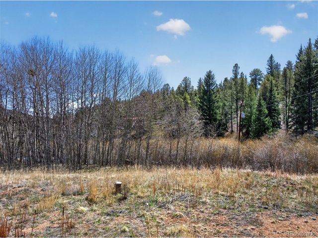 1328 Clark Rd, Bailey, CO 80421
