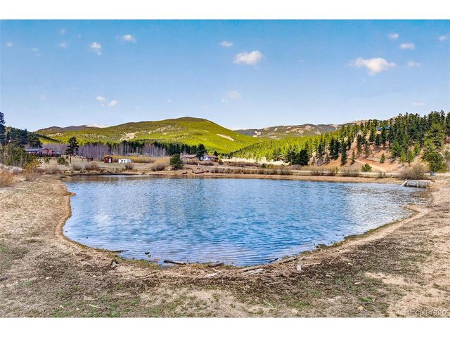 1328 Clark Rd, Bailey, CO 80421