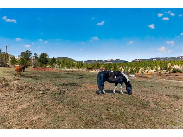 1328 Clark Rd, Bailey, CO 80421