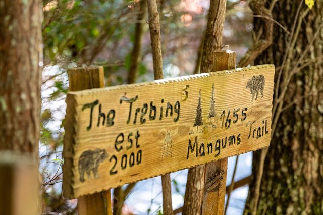 1655 Mangums Trail, Blue Ridge, GA 30513