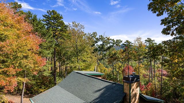 1655 Mangums Trail, Blue Ridge, GA 30513