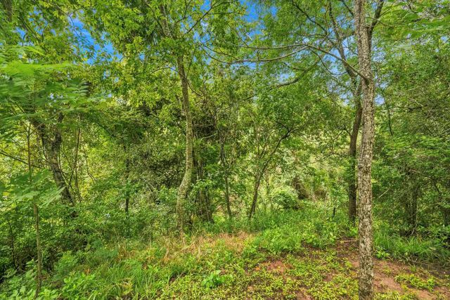 32415 Waterhouse Court, Fulshear, TX 77441