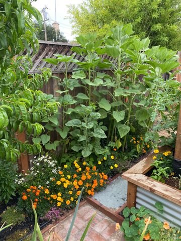 18023 Mulberry Ave, Sonoma, CA 95476