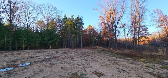 27532 Dahlia Street NW, Isanti, MN 55040