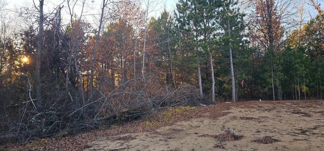 27532 Dahlia Street NW, Isanti, MN 55040