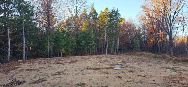 27532 Dahlia Street NW, Isanti, MN 55040