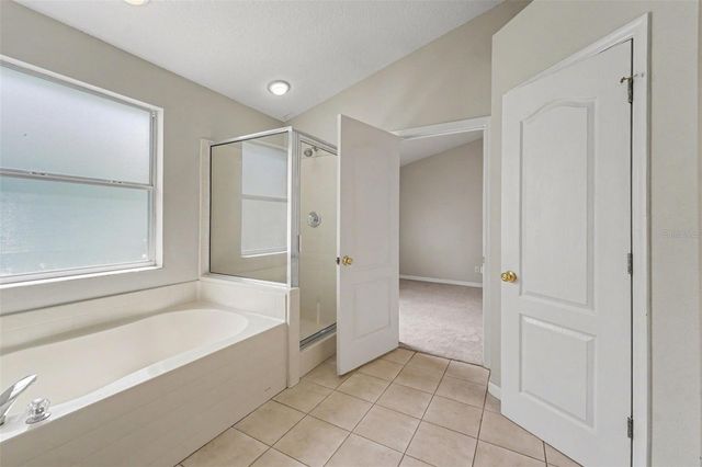 22901 HAWK HILL LOOP, Land O Lakes, FL 34639