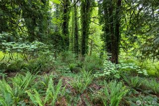 24118 177th Street E, Orting, WA 98360