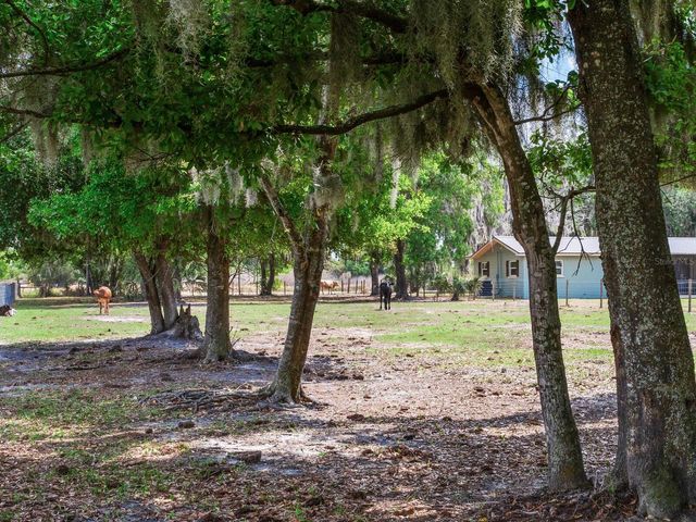 9819 ALLEN ROAD, Lithia, FL 33547