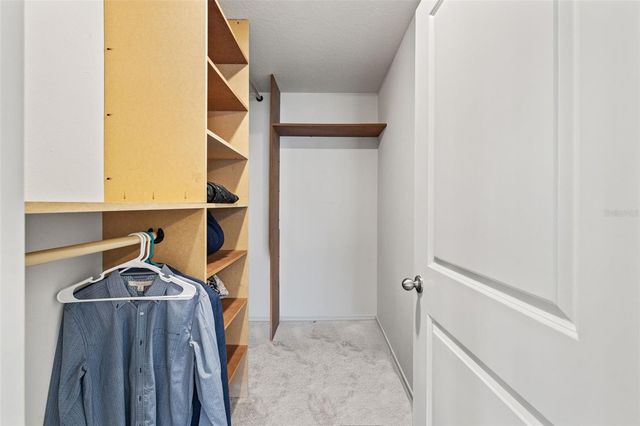 12115 LILY MAGNOLIA LANE, Riverview, FL 33569