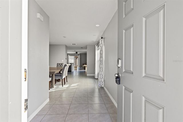 12115 LILY MAGNOLIA LANE, Riverview, FL 33569