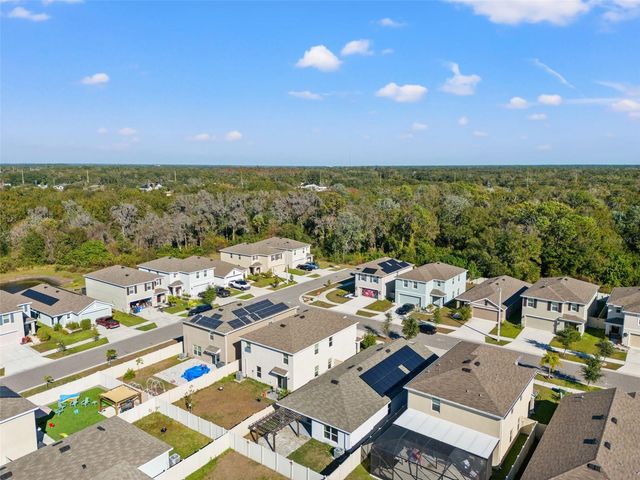 12115 LILY MAGNOLIA LANE, Riverview, FL 33569