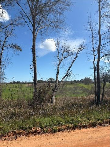 0 Wear Road, Grand Bay, AL 36541