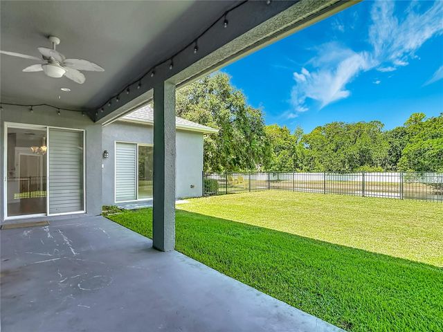 16224 IVY LAKE DRIVE, Odessa, FL 33556
